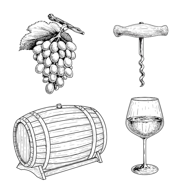 Wine sketch set. Grape, corkscrew, wine barrel or cask and glass of wine. Hand drawn   illustrations