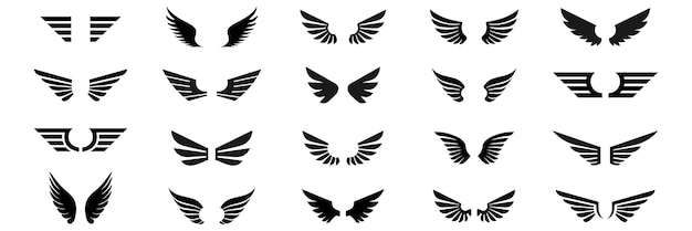 Wings Big Collection Vector illustration