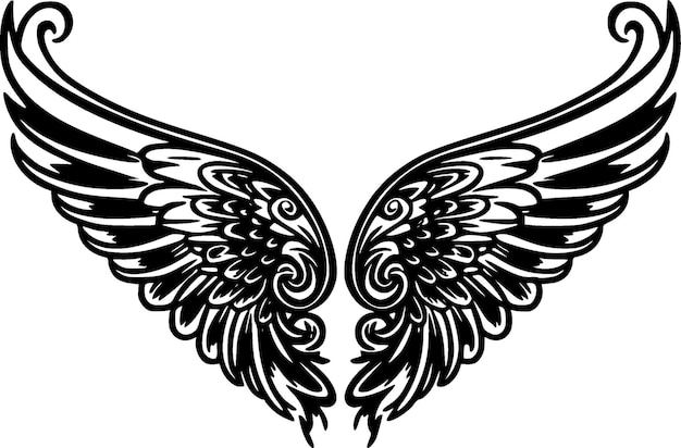 Wings Black and White Vector illustration