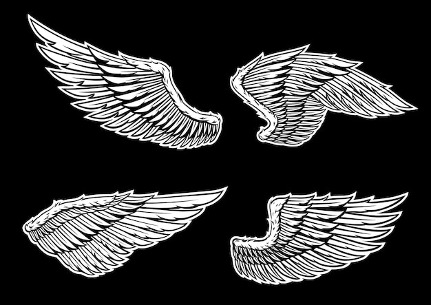 wings vector set