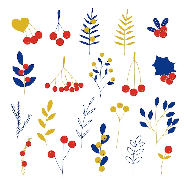 Winter and autumn forest berries and plants set vector illustration hand drawing red gold and blue colors