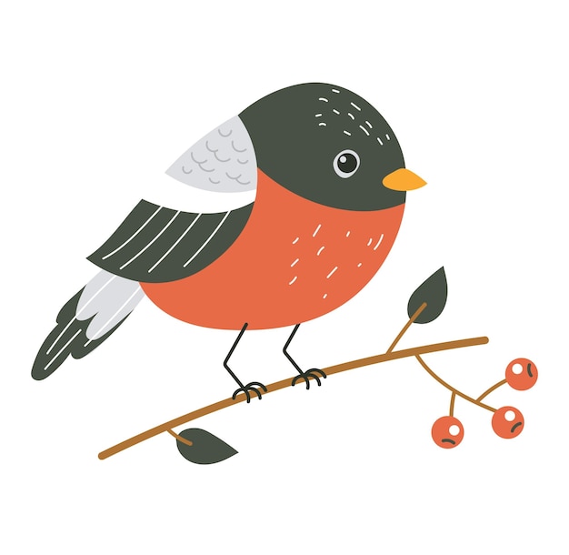 Winter bird red character design element concept illustration