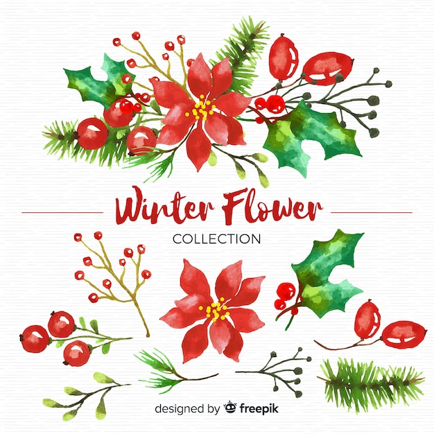 Winter flower collection