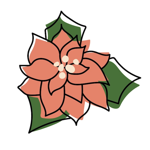 Winter flowers. Hand drawn poinsettia flowers. Hand Drawn Freehand linear sketch isolated element