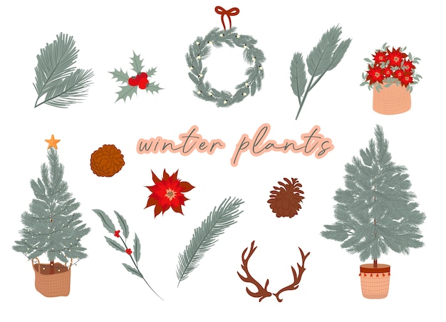 Winter plants collection Christmas tree winter flower wreath branch cone Editable  illustration