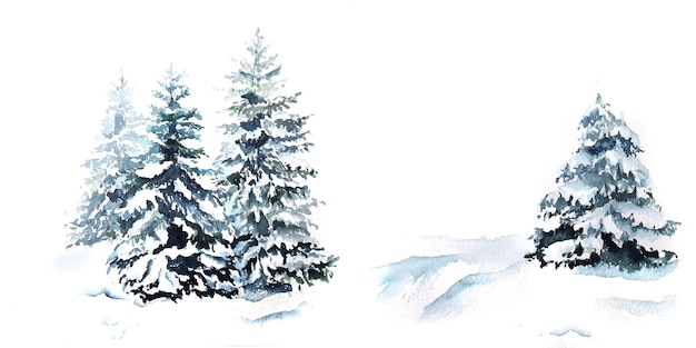 Winter trees snowy forest fir tree watercolor illustration on white