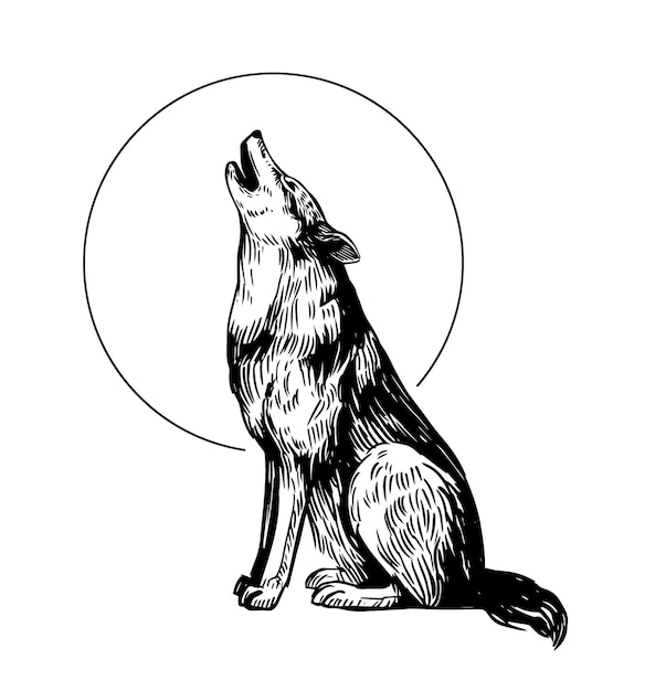 The wolf howls at the moon set of realistic hand drawn illustrations vector sketches