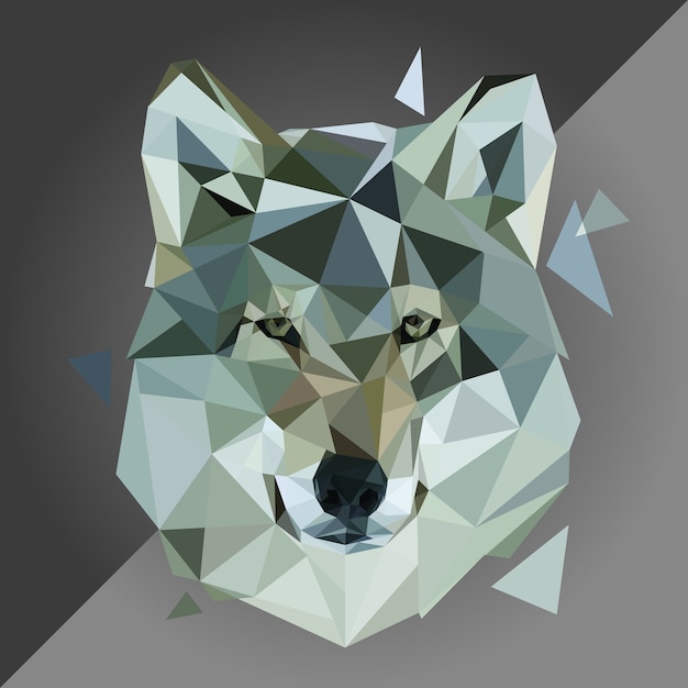 Vector wolf in low poly art 