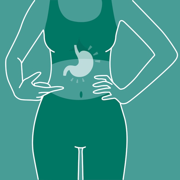 Vector woman body stomach and digestion