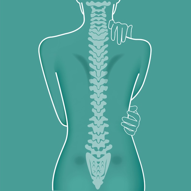 Woman body vertebral anatomy