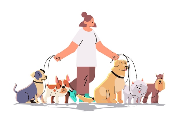 woman dog handler walks with pets best friends domestic animals walking service volunteering pet care concept horizontal vector illustration