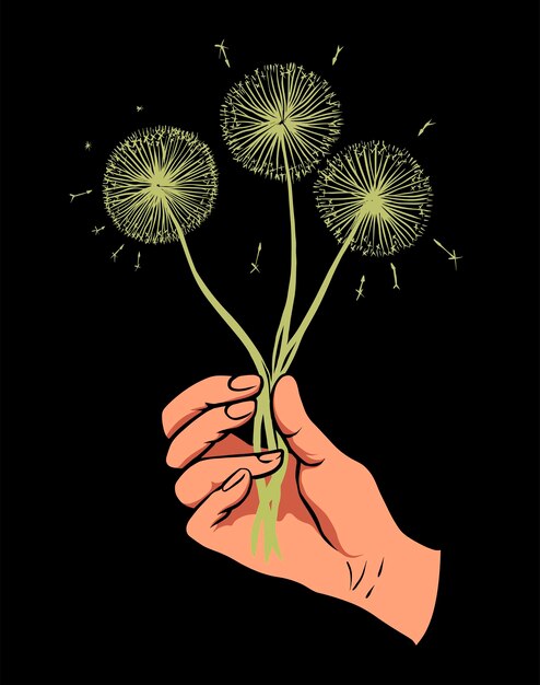 Vector woman hand holding 3 dandelions vector flat illustration on black