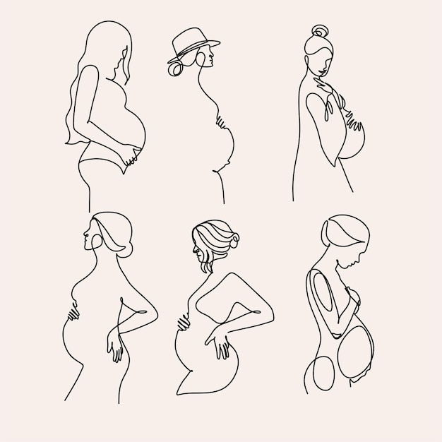 Woman Line drawing vector Pregnant woman and motherhood Line art