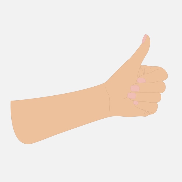 Woman's hand shows thumbs up light skin isolate