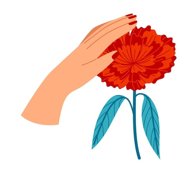 Woman s hand touching or holding red flower elegant female gesture with floral design beauty