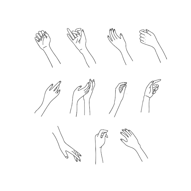 Woman's linear hand set.  female hands of different gestures. Lineart in a trendy minimalist style.