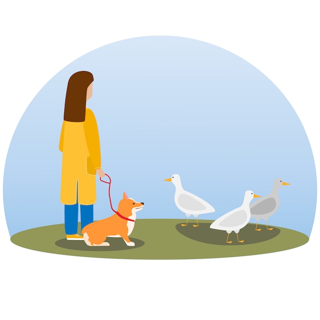 A woman walking dog. Happy cute dog. Welsh Corgi. Puppy sits and looks at wild ducks