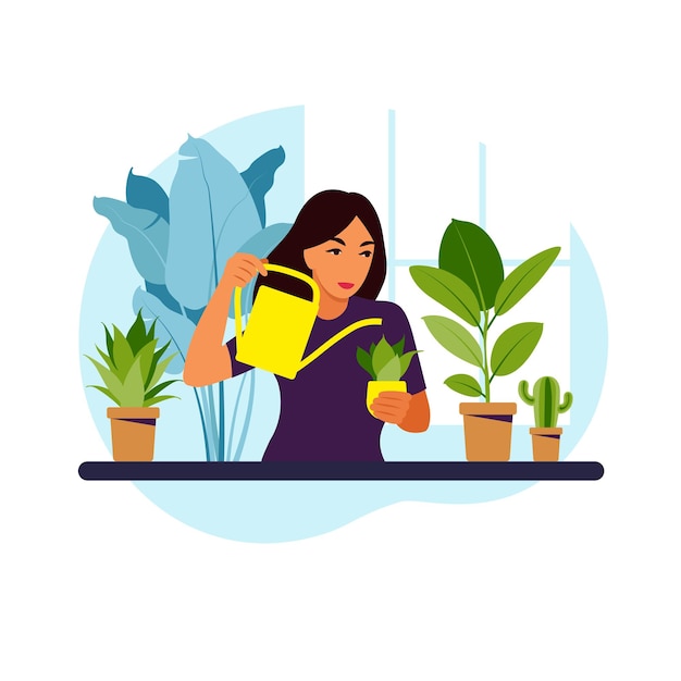 Woman watering houseplants at home. Lifestyle, home garden and houseplants concept. Flat vector illustration.