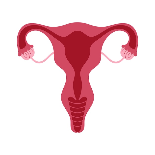 Women health Uterus Floral Ovary reproductive system Concept