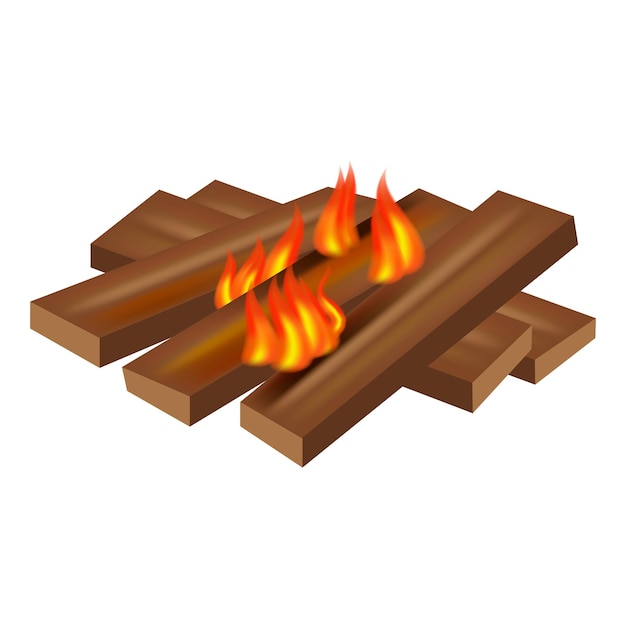 Wood fire icon Realistic illustration of wood fire vector icon for web design