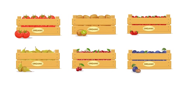 Wooden box with tomatoes, kiwi, strawberries, pears, cherries and plums. Set. Fruit box icon. Vector