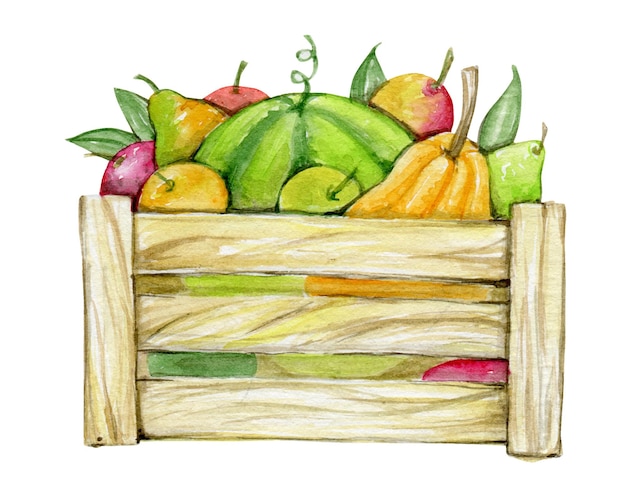 Wooden box with vegetables fruits berries A watercolor concept on an isolated background in a cartoon style