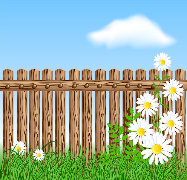 Wooden fence on green grass with daisy against the sky