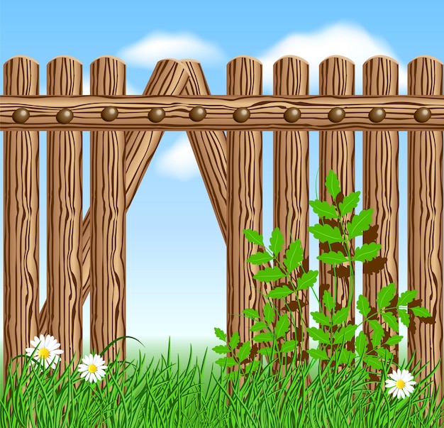 Wooden fence on green grass with daisy against the sky