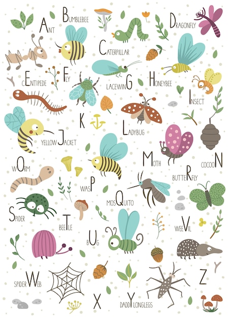 Woodland alphabet for children. Cute flat ABC with forest insects.