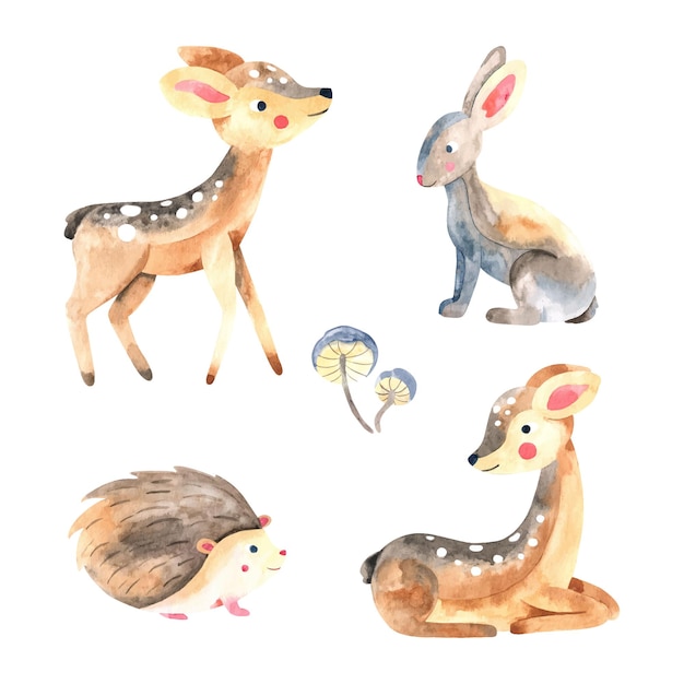 Vector woodland animals set watercolor illustration of cute forest characters collection