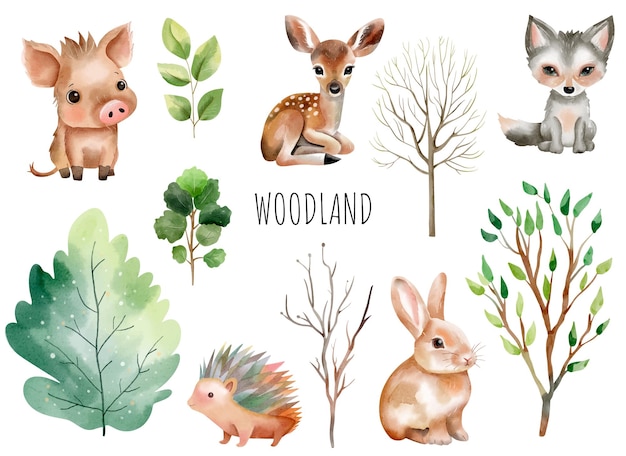 Vector woodland animals set of wild watercolor forest animals green trees and plants deer boar hedgehog