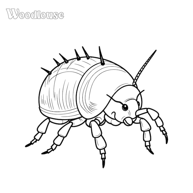 Woodlouse hand drawn coloring page and outline vector design