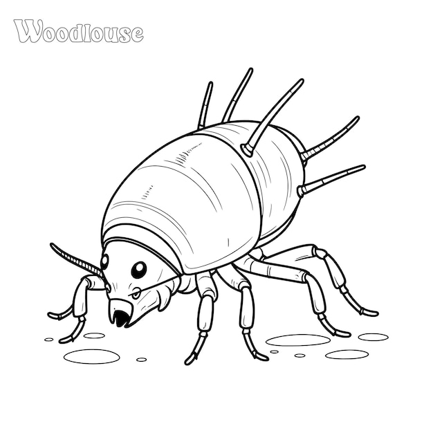 Woodlouse hand drawn coloring page and outline vector design