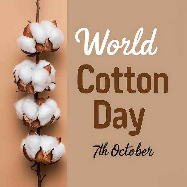 World Cotton Day Vector Image Illustration