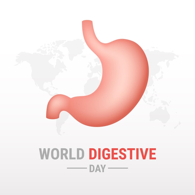 World Digestive day on white background