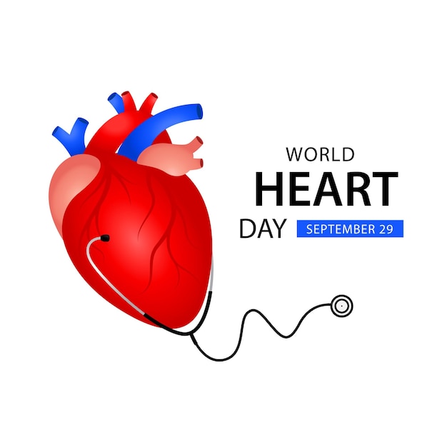 World heart day illustration heart and stethoscope vector