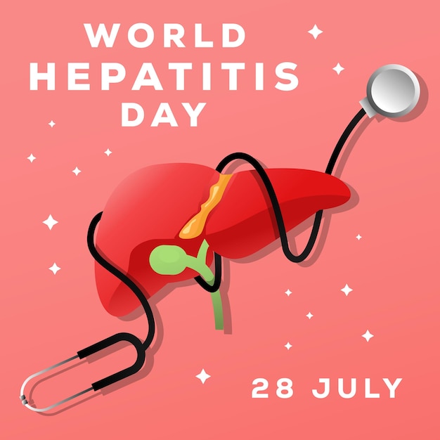 World hepatitis day 28 july illustration with stethoscope wrapped around the liver