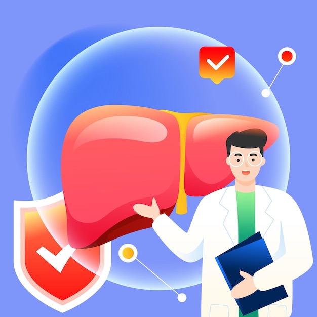 World hepatitis day, doctor examines liver to treat hepatitis disease, vector illustration