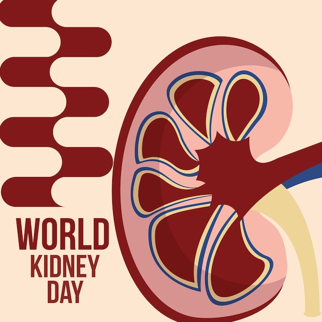 world kidney day