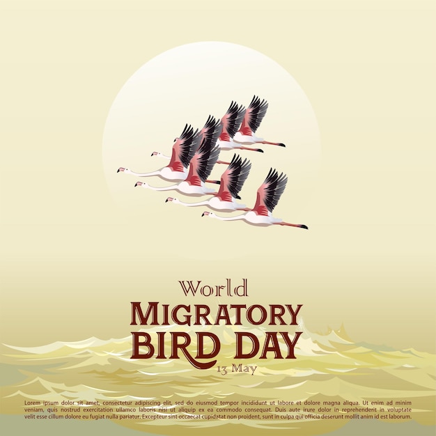 World Migratory Bird Day