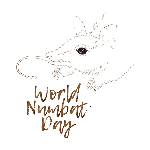 World Numbat Day greeting card illustration with cute cartoon sketch of an animal in watercolor