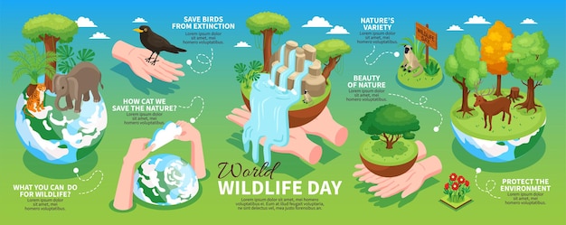 Vector world wildlife day horizontal infographics layout with information about protection of environment and wild animals isometric