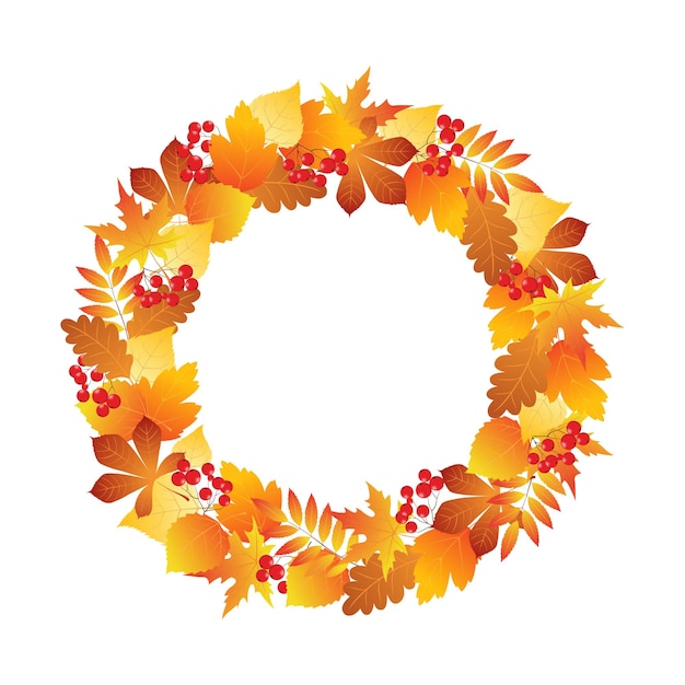 Wreath of autumn leaves and rowan berries. Autumn circular frame. Falling leaves. Vector.