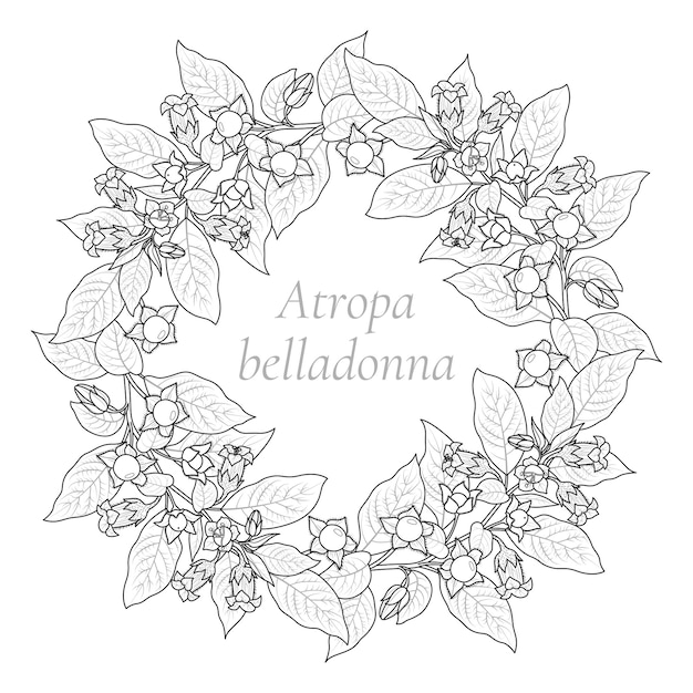 Wreath of belladonna plant in black and white Graphic vector illustration Coloring page