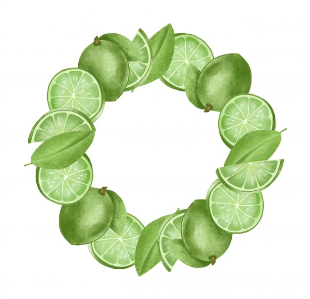 Vector wreath of hand drawn limes, isolated illustration on a white