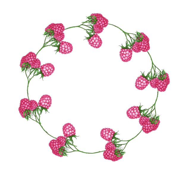 Vector a wreath of raspberry sprigs with berries. summer concept. botanical watercolor illustration of red