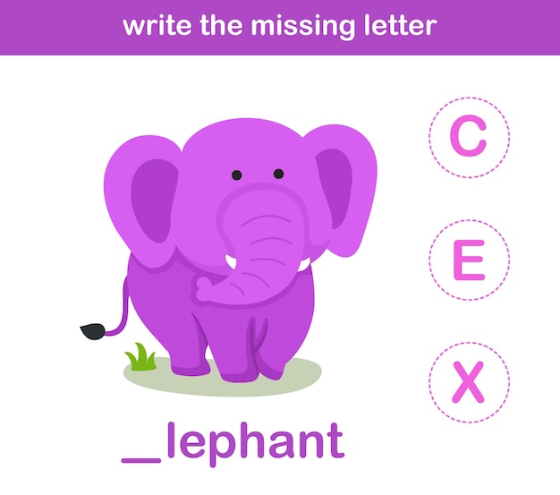 Write the missing letterillustration vector