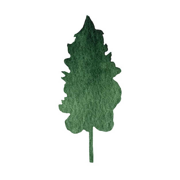 XAHand drawn watercolor fir tree forest clipart