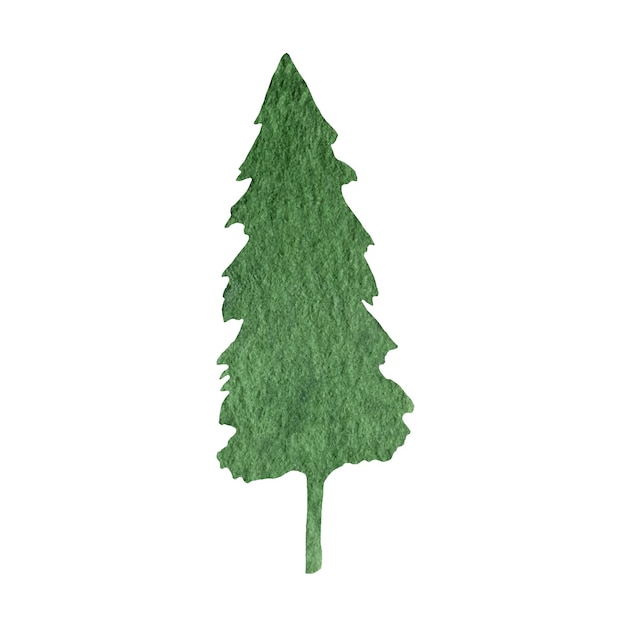 XAHand drawn watercolor fir tree forest clipart