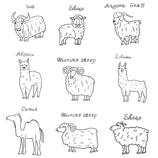 Yak, angora goat, camel, merino sheep, llama, alpaca. Set of animals. Outline illustrations.